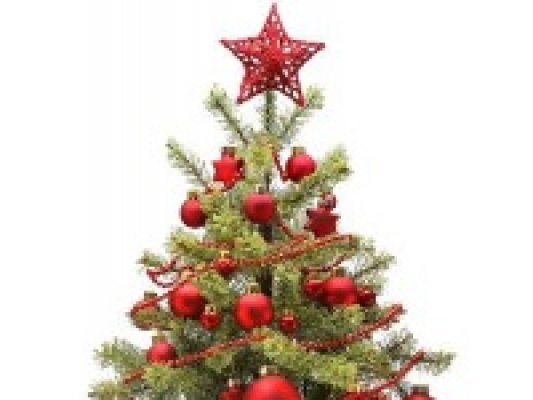 Co s vánočním stromkem?